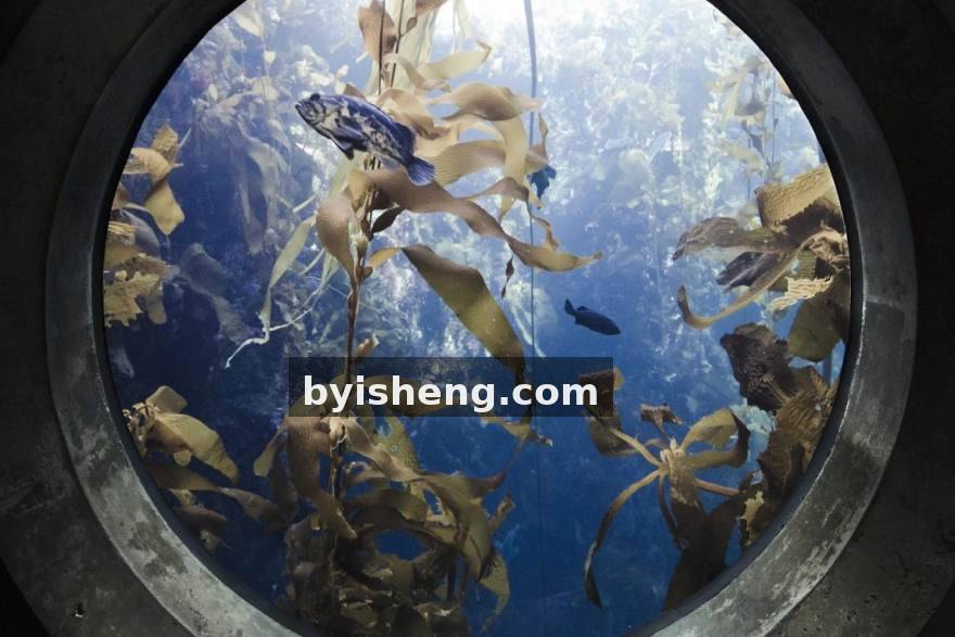 经济转化率与资源置换效率：赛季中段六项核心数据拆解争冠梯队