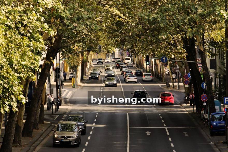 从陪练到首发指挥：一位辅助选手的战术话语权养成记